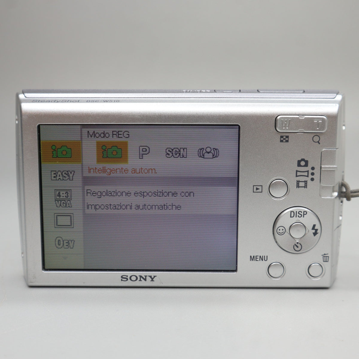 Sony Cyber-shot DSC-W510 - Fotocamera Digitale Compatta Y2K